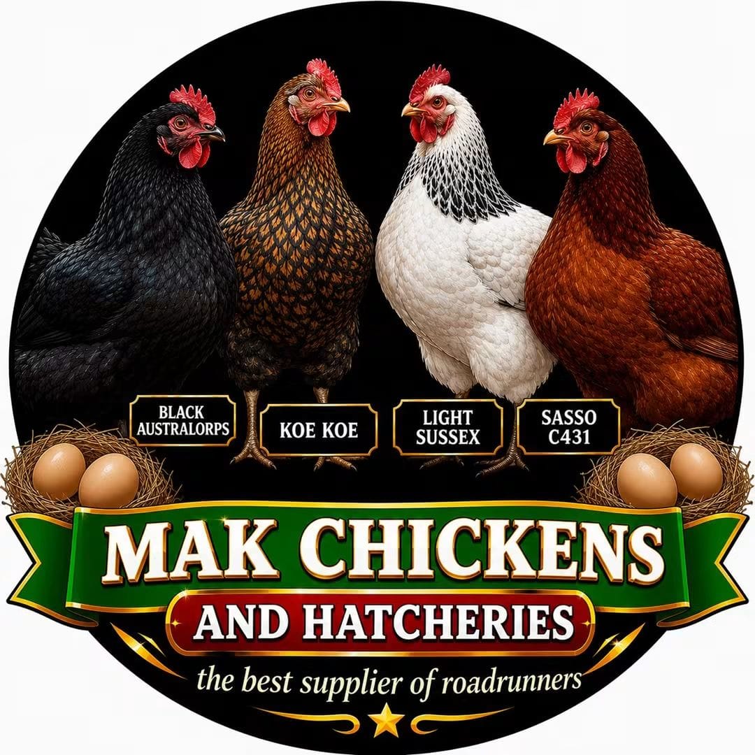 MAK Chickens and Hatcheries logo